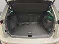 Fahrzeug Bild Skoda Karoq Sportline 1.5l TSI DSG 9