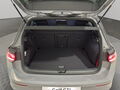 Fahrzeug Bild VW Golf VIII GTI 2.0 TSI 8