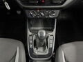 Fahrzeug Bild Skoda Fabia Active 1.0 MPI 14