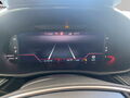 Fahrzeug Bild Skoda Fabia Monte Carlo 1.0 TSI 12