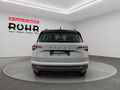 Fahrzeug Bild Skoda Karoq Selection 2.0 TDI 6