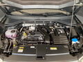 Fahrzeug Bild VW T-Roc R-line (AHK.SHZ.PDC.ACC.DAB) 1.5 TSI DSG 15