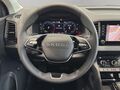 Fahrzeug Bild Skoda Karoq Tour (LED.AHK.Navi.Kamera.DAB.Kessy) 1.5 TSI NEUWAGEN! 10