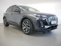 Fahrzeug Bild Audi Q6 SUV e-tron quattro 315 kW 3
