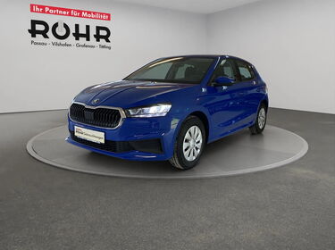 Fahrzeug Bild Skoda Fabia Active 1.0 MPI