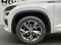 Fahrzeug Bild Skoda Kodiaq Sportline (AHK.Navi.Kamera.Stdhzg..Park Assist) 2.0 TDI DSG 4x4 13