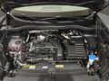 Fahrzeug Bild VW Tiguan R-Line (WR/BlackStyle/Park Assist) 1.5 l eTSI 110 kW 7-Gang-DSG 15