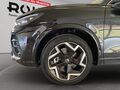 Fahrzeug Bild VW Tiguan R-line 2.0 TDI DSG 4Motion (Garantie 02/2030.Navi.Standh..Pano.LED.Kamera) 15