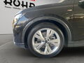 Fahrzeug Bild Audi Q4 e-tron (NAVI.SHZ.PDC.Matrix-LED.DAB.GRA) 50 e-tron quattro 15