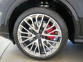 Fahrzeug Bild Audi Q5 SUV TDI quattro 220 kW S tronic 15