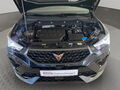 Fahrzeug Bild Cupra Ateca 2.0 TSI 4Drive 15