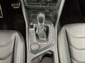 Fahrzeug Bild VW Tiguan R-Line 2.0 TSI 4M 13