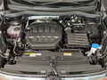 Fahrzeug Bild VW Tiguan EDITION 20 (WR/AHK/IQ.LIGHT) 2.0 l TSI 4MOTION 7-Gang-DSG 15