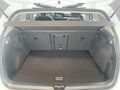 Fahrzeug Bild VW Golf VIII Life (NAVI.SHZ.PDC.ACC.AHK.DAB) 2.0 TDI 8