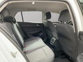 Fahrzeug Bild VW Golf VIII Life 1.5 eTSI 7