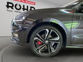 Fahrzeug Bild Skoda Fabia 130 Edition 1.5 TSI 14
