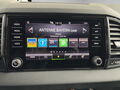 Fahrzeug Bild Skoda Karoq Selection 1.5 TSI DSG 12