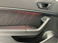 Fahrzeug Bild Cupra Ateca 2.0 TSI 4Drive 16
