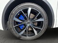 Fahrzeug Bild VW Tiguan R 2.0 TSI 4M 14