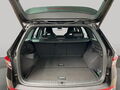 Fahrzeug Bild Skoda Kodiaq RS 4x4 2.0 TSI 8