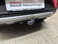 Fahrzeug Bild VW T-Roc Life 2.0 TDI 17