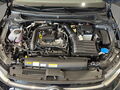Fahrzeug Bild VW Polo EDITION 50 1.0 l TSI  DSG 16