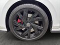 Fahrzeug Bild VW Golf VIII GTI (Navi.Sitzheizung.R&uuml;ckfahrkamera) 2.0 TSI 15