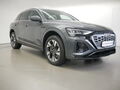 Fahrzeug Bild Audi Q8 55 e-tron quattro S line 2