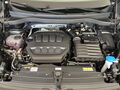 Fahrzeug Bild VW Tiguan R-Line (WR/AHK/BlackStyle) 2.0 l TSI 4MOTION 7-Gang-DSG 15