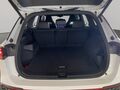 Fahrzeug Bild VW Tayron R-line 2.0 TDI DSG 4Motion (Garantie 05/2030.Matrix.Navi.Pano.Standh..SHZ) 9