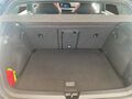 Fahrzeug Bild VW Golf VIII GTI (SHZ.NAVI.ACC.PDC.LED PLUS) 2.0 TSI DSG 8