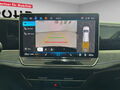 Fahrzeug Bild VW Passat R-Line Black Style (Garantie 06/2030.AHK.Kamera) 2.0 TDI DSG 12