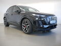 Fahrzeug Bild Audi Q6 SUV S line business e-tron quattro 315 kW 2