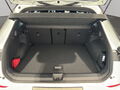 Fahrzeug Bild VW T-Roc R-Line 1.5 l eTSI OPF DSG 8