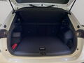 Fahrzeug Bild VW Tiguan R-Line 2.0 TDI DSG 4Motion 8