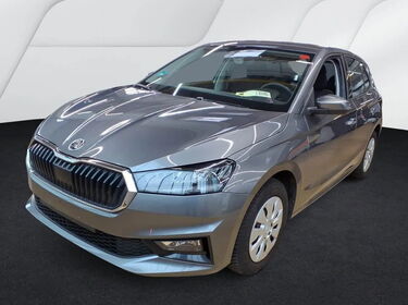Fahrzeug Bild Skoda Fabia Selection 1.0 TSI