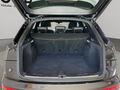 Fahrzeug Bild Audi SQ5 3.0 TDI quattro tiptronic (Navi.Pano.Standh..Matrix.DAB) 9