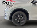 Fahrzeug Bild VW Tiguan R-Line (WR/AHK/BlackStyle) 2.0 l TSI 4MOTION 7-Gang-DSG 14