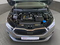 Fahrzeug Bild Skoda Fabia Selection 1.0 TSI (Garantie 04/2031.Kamera.LED.DAB+.Klima.SHZ) 16