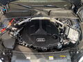 Fahrzeug Bild Audi A5 Coup S line 50 TDI 15