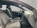 Fahrzeug Bild VW Golf GTI Performance 2.0 TSI 6