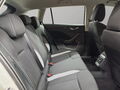 Fahrzeug Bild Skoda Scala Selection 1.5 TSI 8