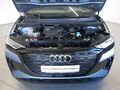 Fahrzeug Bild Audi Q4 50 e-tron quattro S line MATRIX AHK PANO 18