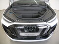 Fahrzeug Bild Audi Q6 Sportback S line business e-tron quattro 315 kW 19
