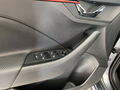 Fahrzeug Bild Skoda Kamiq Monte Carlo 1.5 TSI DSG 18