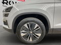 Fahrzeug Bild Skoda Karoq Ambition (AHK.Kamera.PDC) 2.0TDI DSG 14